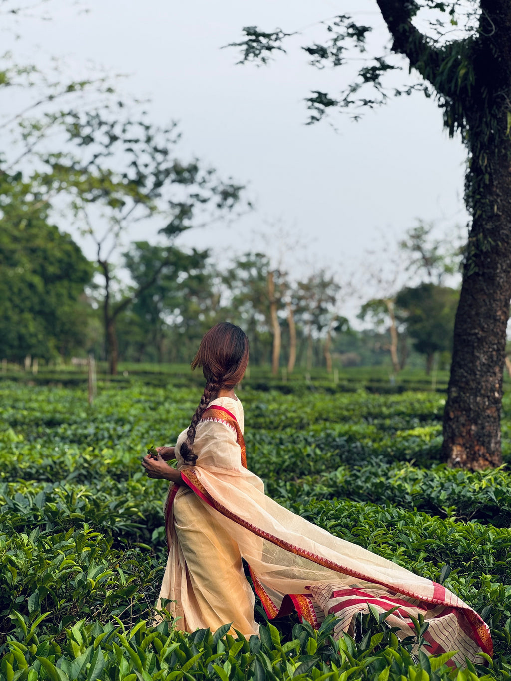 Lal payer shada sharee❤️✨